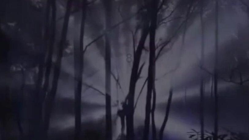 幻想乡大冒险